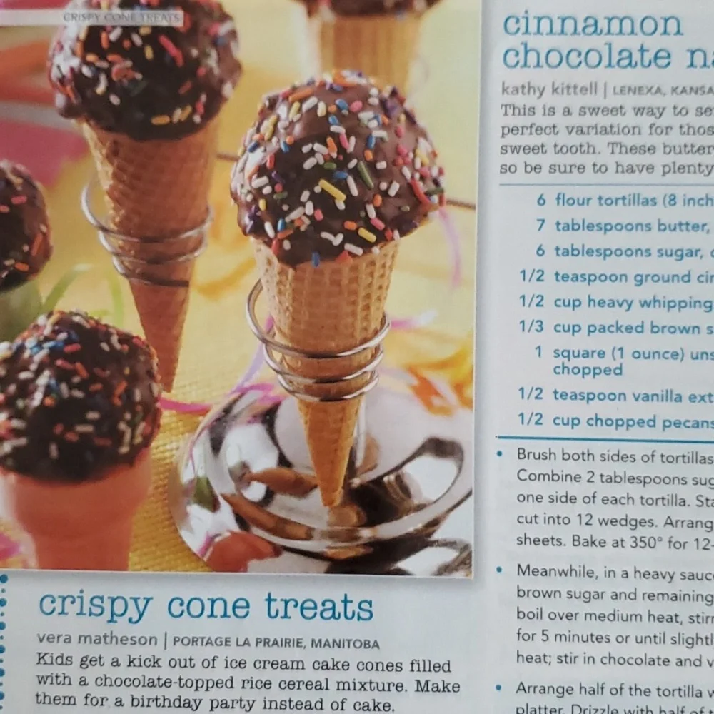 Fun Foods 2008 Cookbook
